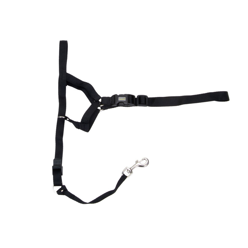 COASTAL WALK'N TRAIN Licol Nylon #4 XL Noir