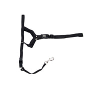 COASTAL WALK'N TRAIN Licol Nylon #4 XL Noir