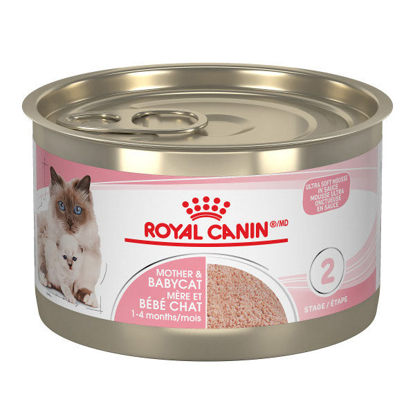 ROYAL CANIN Chat Mère et Bébé en Mousse 145g