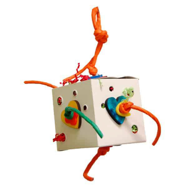 FUNMAX Jouet Oiseaux Fun-Box 4"