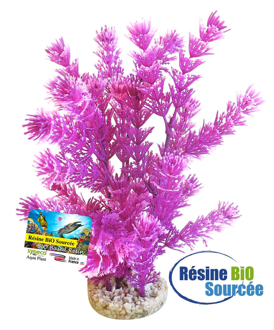 SYDECO Plante Deco Bio Aqua Fiesta 23cm pour Aquarium