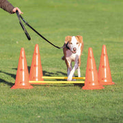 TRIXIE Jouet Chien Jeux Agilité Obstacle 4 Cônes et 2 Piquets