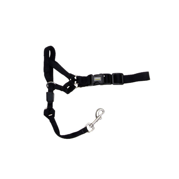 COASTAL WALK'N TRAIN Licol Nylon #1 S Noir