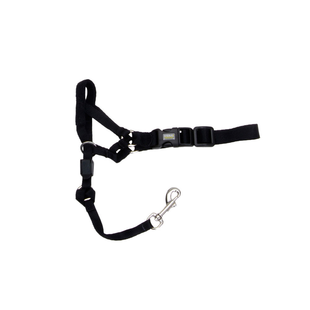 COASTAL WALK'N TRAIN Licol Nylon #1 S Noir