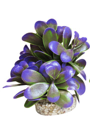 SYDECO Plante Deco à Galets 12cm pour Aquarium