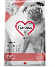 1st CHOICE Chien Derma Saumon 2kg