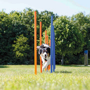 TRIXIE Jouet Chien Jeux Agilité Slalom