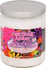 Voir l’image dans la galerie, HOLLYMOLLY Chandelle Patchouli Amber 185g