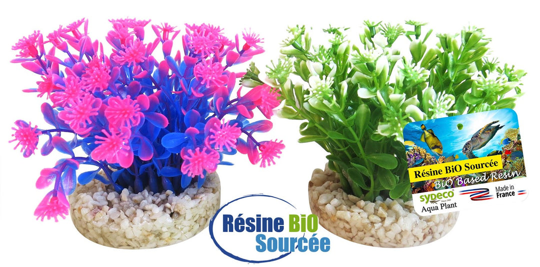 SYDECO Plante Deco Bio Aqua Bouquet 9cm pour Aquarium