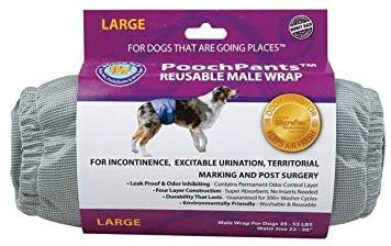 POOCHPAD PoochPants Mâle 35-55lb L