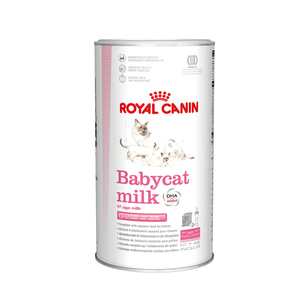 ROYAL CANIN Lait Maternisé Bébé Chat 300g