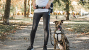 GO FRESH PET Ceinture & Laisse Mains-Libre Noir