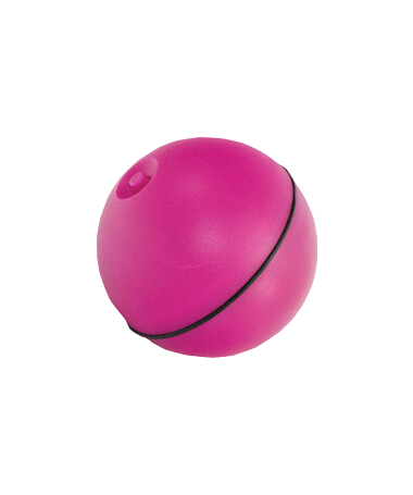 Riga - Jouet Led Crazyroll pour Chats