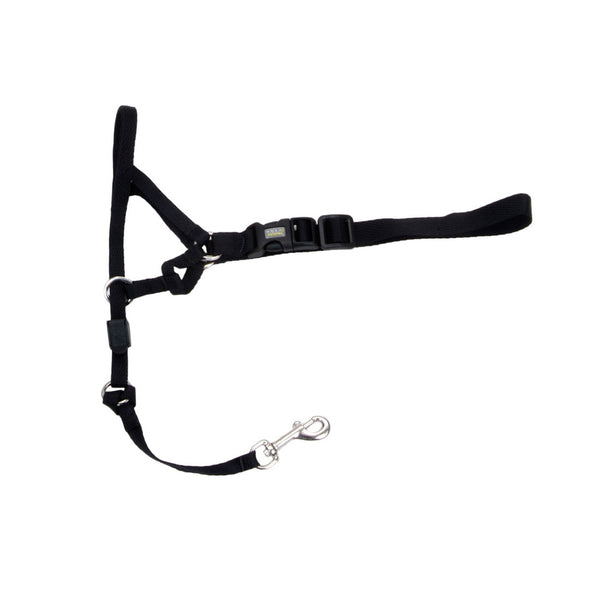 COASTAL WALK'N TRAIN Licol Nylon #2 M Noir