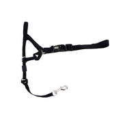 COASTAL WALK'N TRAIN Licol Nylon #2 M Noir