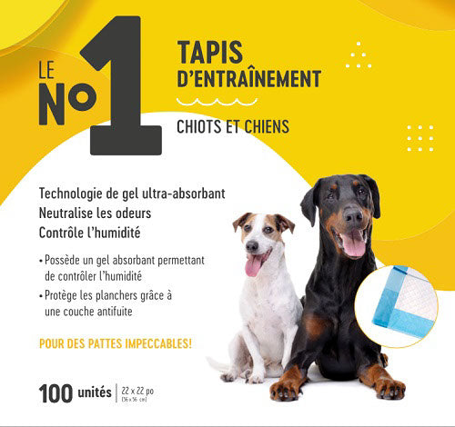 LE No1 Tapis d'Entraînement Régulier 22x22" x100