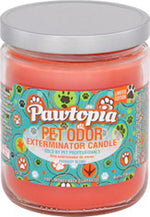 Voir l’image dans la galerie, HOLLYMOLLY Chandelle Pawtopia 185g