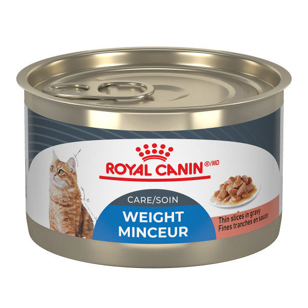 ROYAL CANIN Chat Soin Minceur, Tranche en Sauce 145g