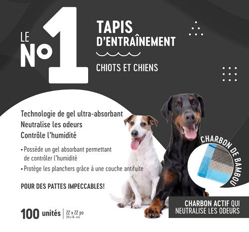 LE No1 Tapis d'Entraînement Charbon 22x22" x100