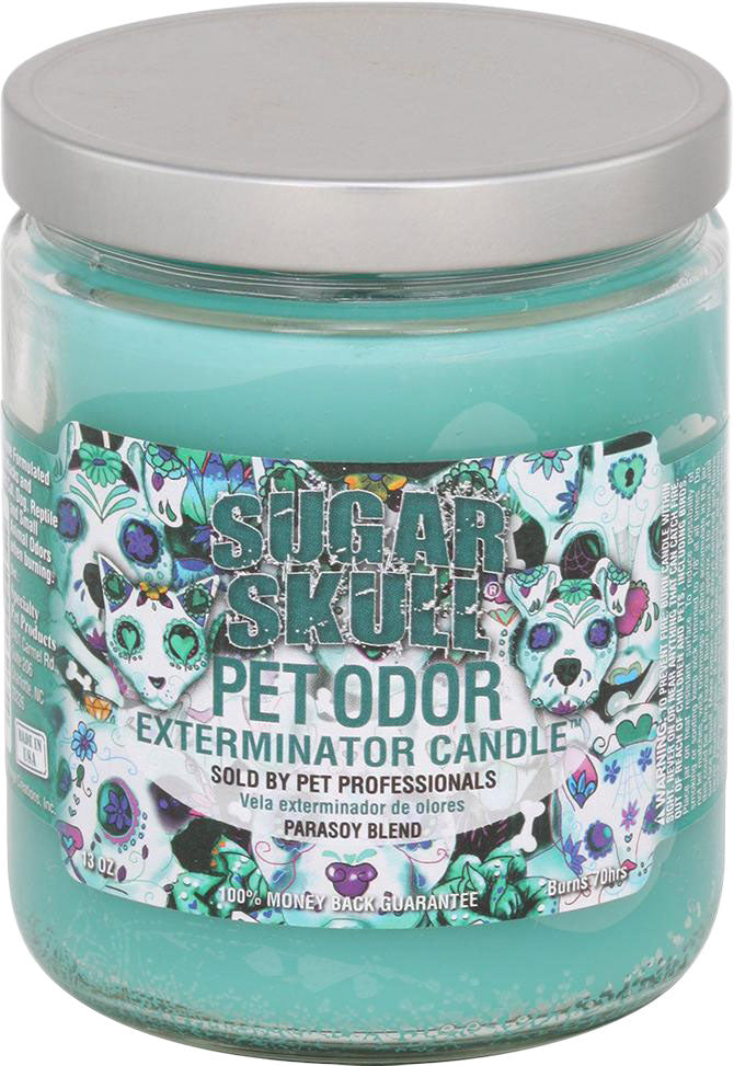 HOLLYMOLLY Chandelle Sugar Skull 185g