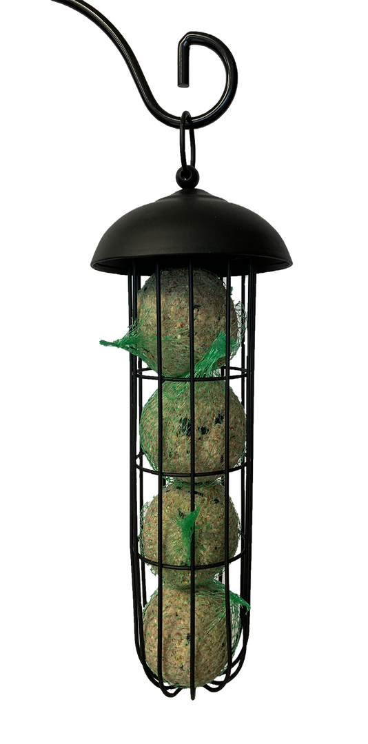 RIGA Oiseaux Mangeoire en Métal