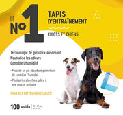 LE No1 Tapis d'Entraînement Régulier 22x22