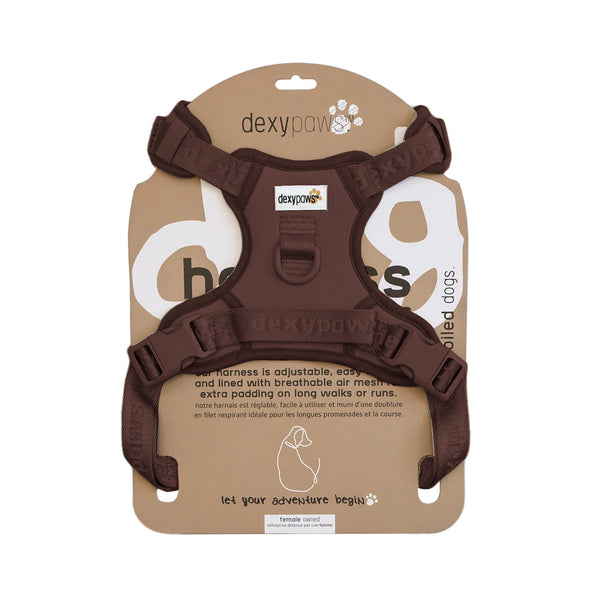 DEXYPAWS Harnais Imperméable Bleu Ciel XL