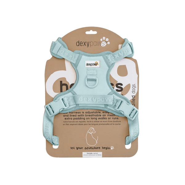 DEXYPAWS Harnais Sans Traction Bleu Ciel S