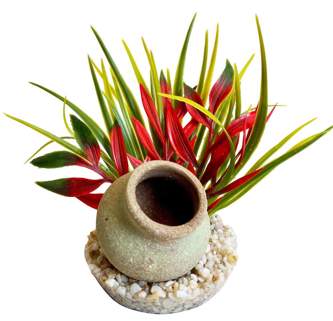 SYDECO Plante Deco Mini-Cruche 15cm pour Aquarium