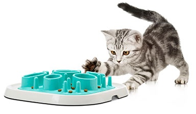 SAVIC Bol Interactif Enigma #11 M