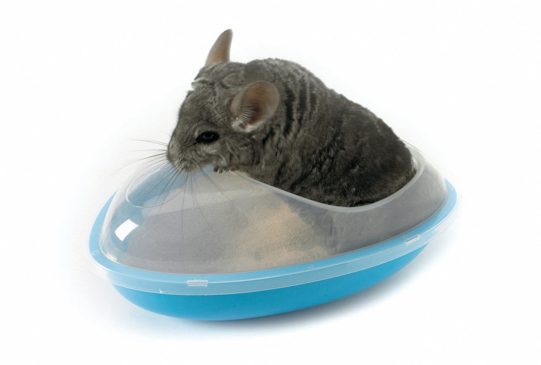 SAVIC Baingnoire à Sable pour Chinchilla