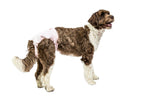 Voir l’image dans la galerie, POOCHPAD PoochPants 55-90lb XL Rose
