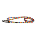 Voir l’image dans la galerie, LI'L PALS Laisse Nylon 3/8x72" BTD