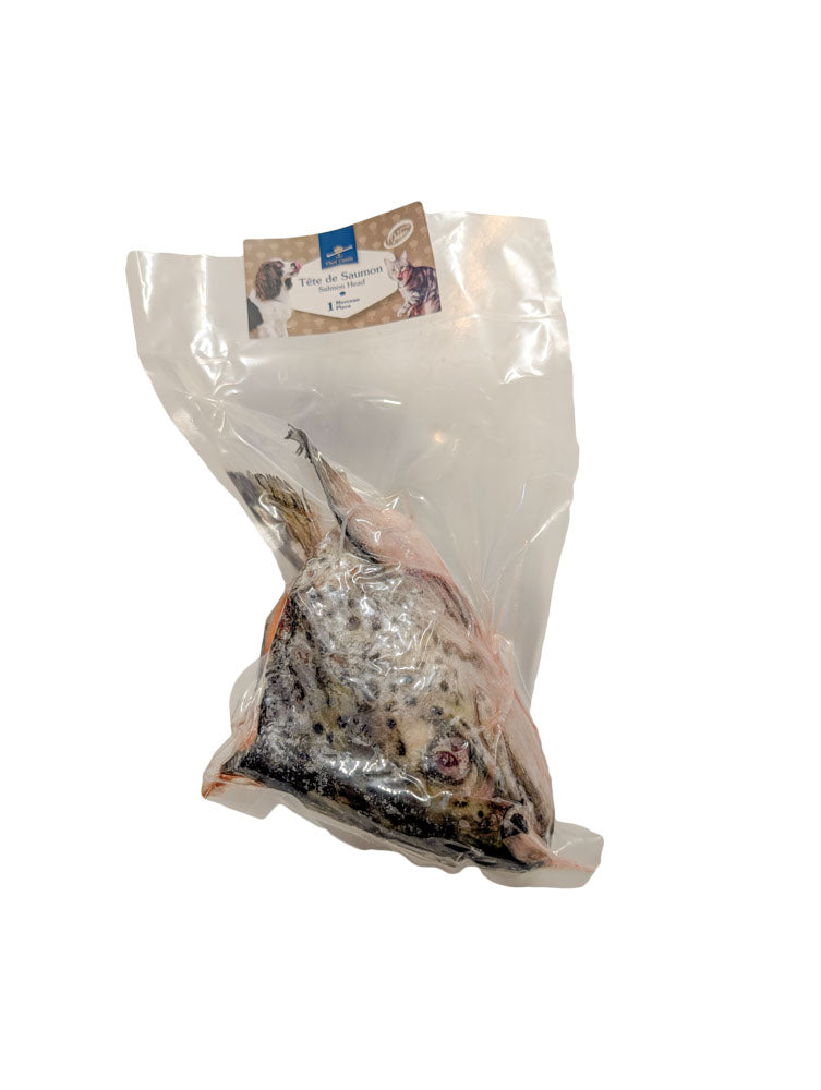 CHEF CANIN Tête de Saumon