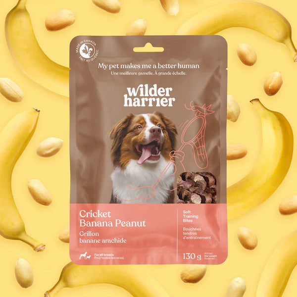 WILDER HARRIER Gâteries Chien Bananes & Arachides 130g