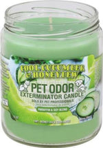 Voir l’image dans la galerie, HOLLYMOLLY Chandelle Cool Cucumber &amp; Honeydew 185g