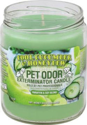 HOLLYMOLLY Chandelle Cool Cucumber & Honeydew 185g