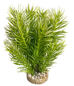 Voir l’image dans la galerie, SYDECO Plante Deco Arbre Japonais 14cm pour Aquarium