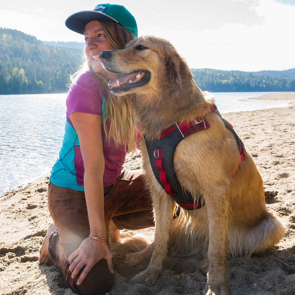 KURGO Harnais Journey Air L Rouge & Gris