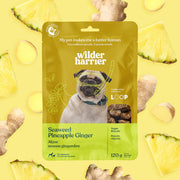 WILDER HARRIER Gâteries Chien Biscuits Algue, Ananas & Gingembre 120g