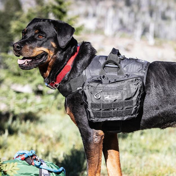 KURGO Sacoche pour Harnais Townie Noire