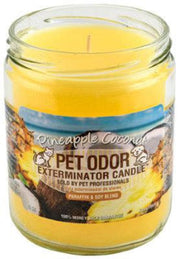 HOLLYMOLLY Chandelle Pineapple Coconut 185g