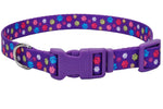 Voir l’image dans la galerie, PET ATTIRE STYLES Collier Nylon 3/8x8-12" SPW