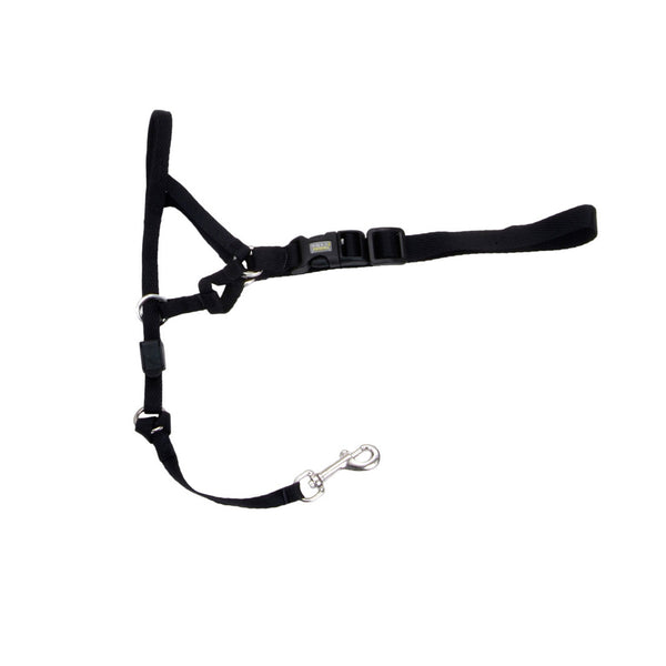 COASTAL WALK'N TRAIN Licol Nylon #3 L Noir
