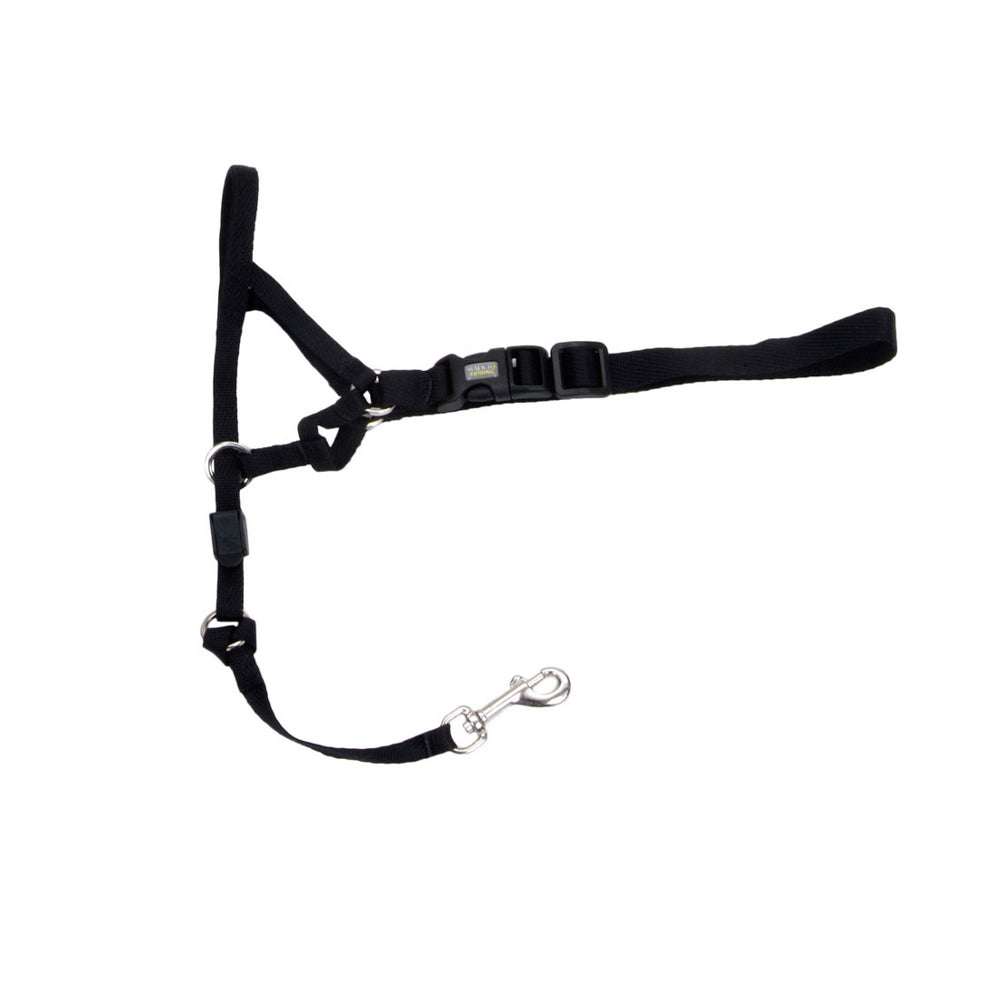 COASTAL WALK'N TRAIN Licol Nylon #3 L Noir
