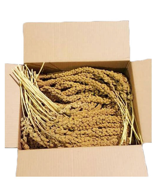 ZOO-MAX Millet en Grappe 5lb pour Oiseaux