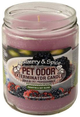 HOLLYMOLLY Chandelle Mulberry Spice 185g