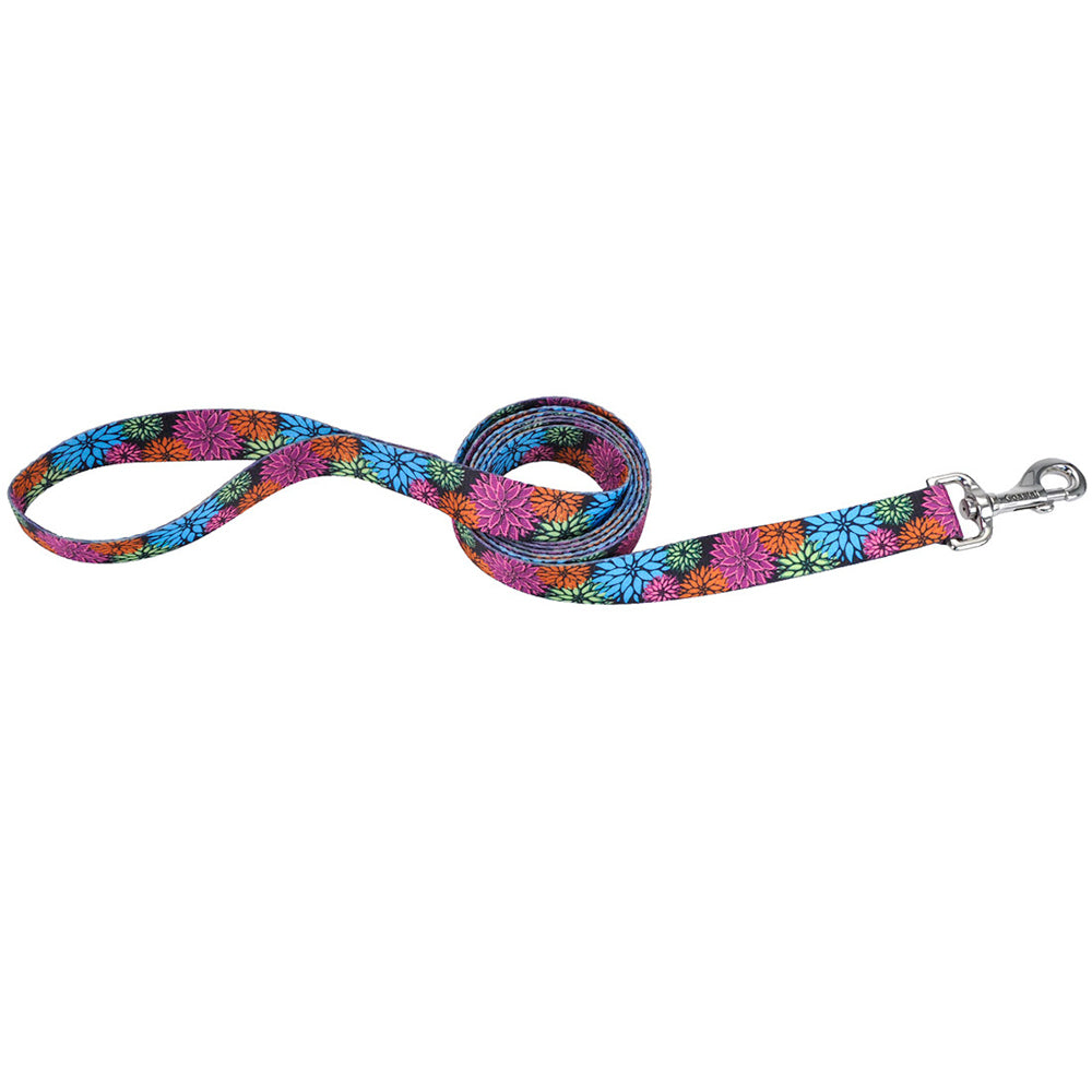 PET ATTIRE STYLES Laisse Nylon 1x72" WDF