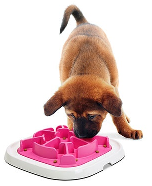 SAVIC Bol Interactif Enigma #10 M