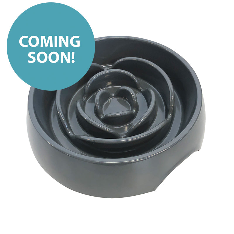 MESSY MUTTS Bol Ralentisseur Chien 3T Gris